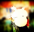 一米有多长