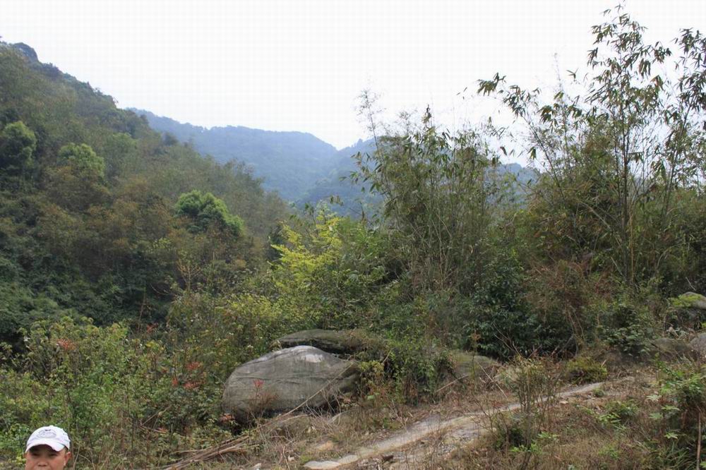 ������С ������С IMG_1260.JPG