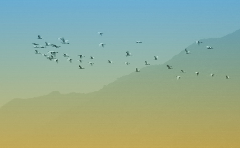 123 041_����.jpg