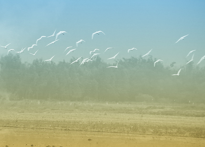 123 017_����_����.jpg