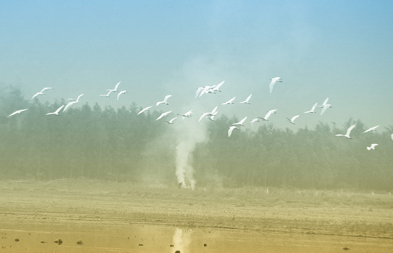 123 018_����_����.jpg