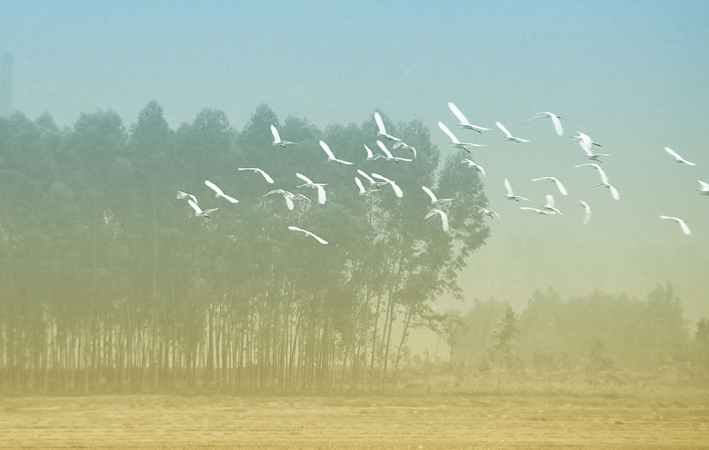 123 020_����_����.jpg