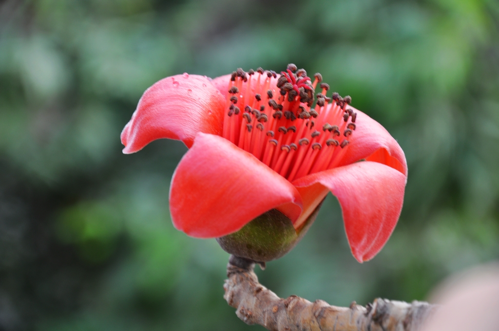 2011���� 2.jpg