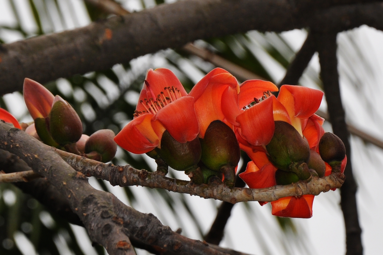 ����ľ�� 3.jpg