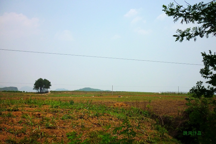 һ·�������