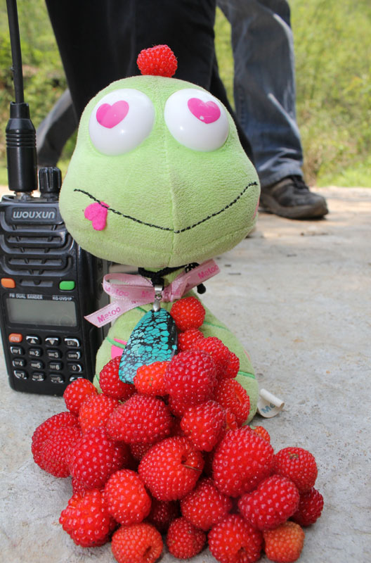 ��ת ��ת IMG_3454.jpg