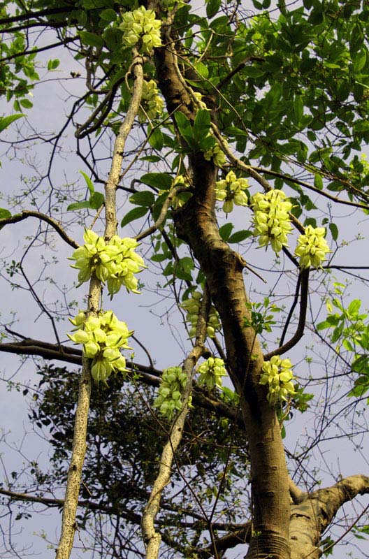 ��ת ��ת IMG_3364.jpg