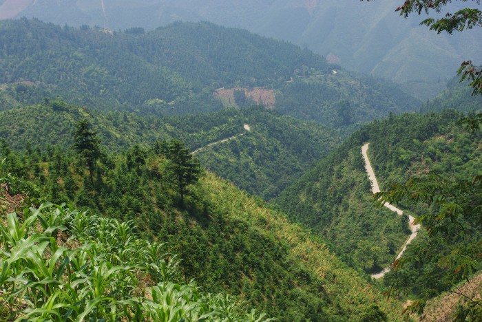 ȥ������ɽ��ò��Ȼ