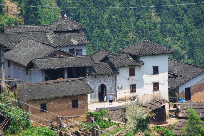 ������կ