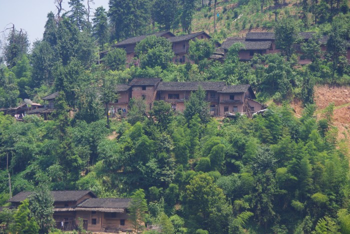 ������կ