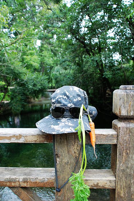 nEO_IMG_DSC0001 (143).jpg