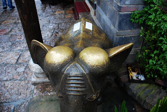 nEO_IMG_DSC0001 (232).jpg