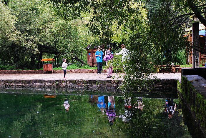 nEO_IMG_DSC0001 (260).jpg