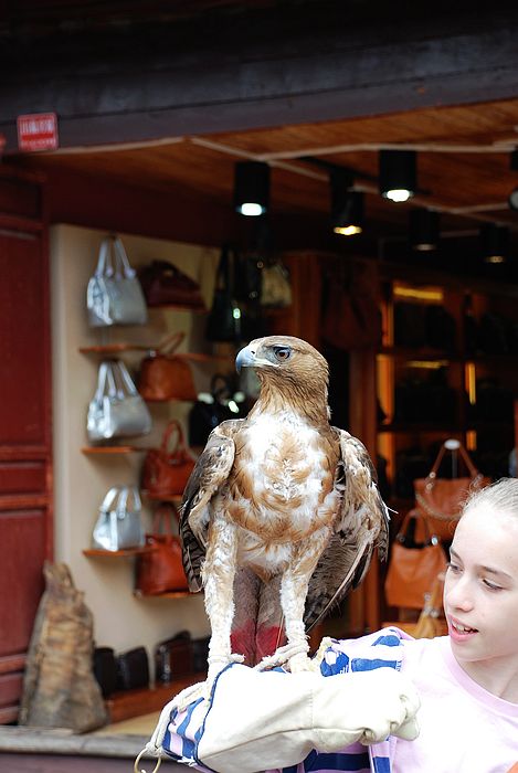 nEO_IMG_DSC0001 (359).jpg