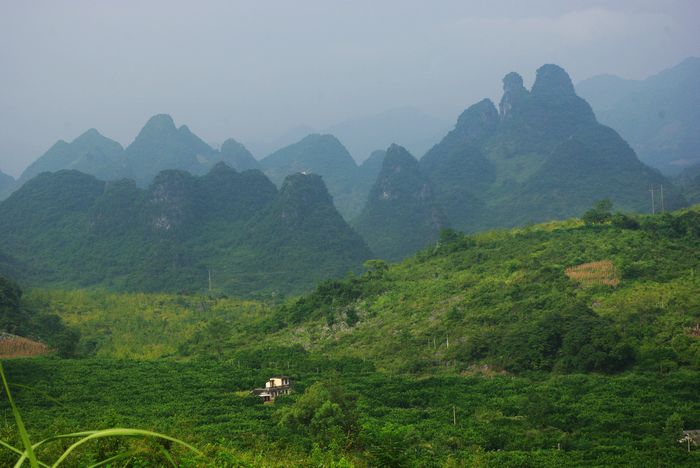 ����������ɽ��������