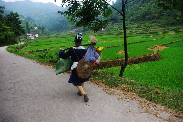 ���͵����帾Ů