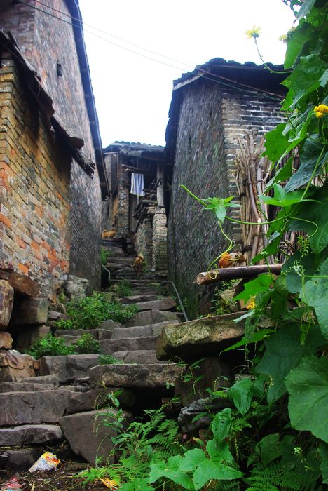 ׳����ԭ��̬��������կ 