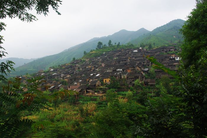 ׳����ԭ��̬��������կ 