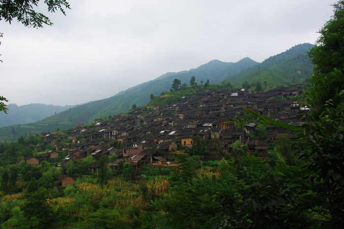 ׳����ԭ��̬��������կ 