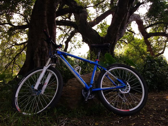 ������Ӱ