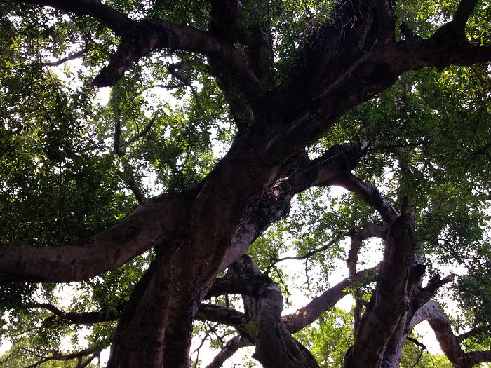 �г�100��Ĵ�����