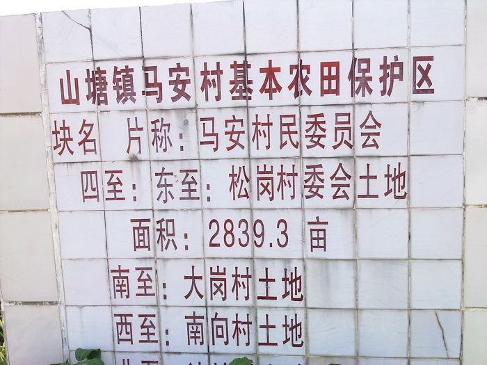 ũ�ﱣ������