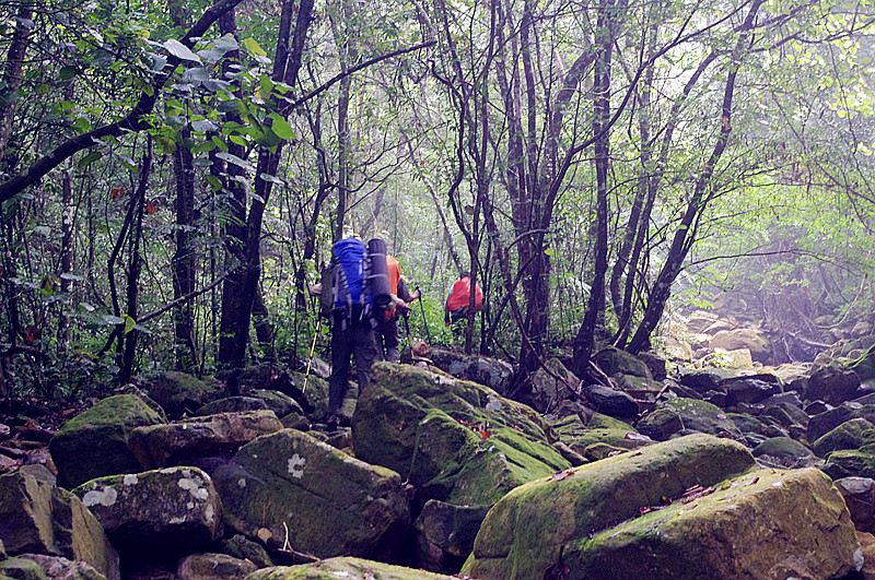 ����ʯ�½���