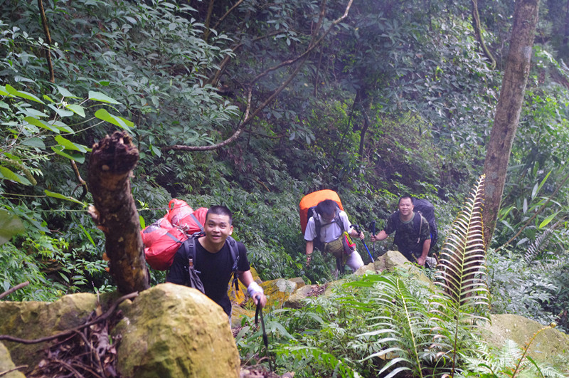 ����Сǿ������