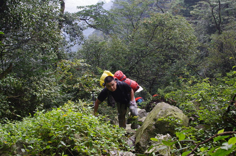 �������ߣ�