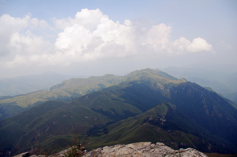 �������������