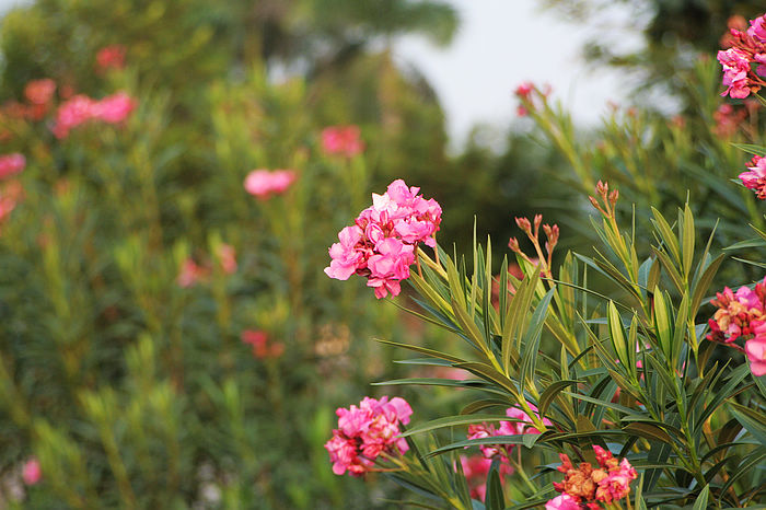 �糿�Ļ�Ҳ��������