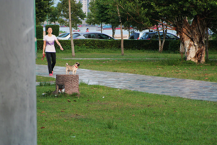 �糿С��Ҳ����