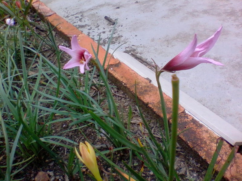 2011-10-04 11.22a.jpg