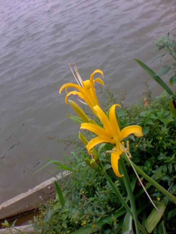 2011-10-04 12.01a.jpg