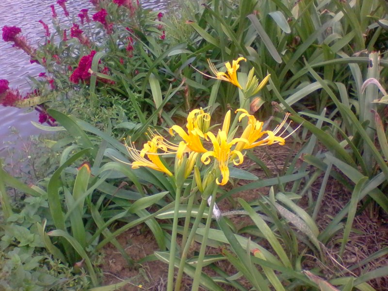 2011-10-05 16.23a.jpg