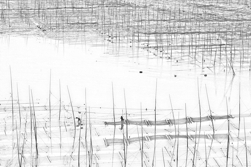 ��̲Э����֮��