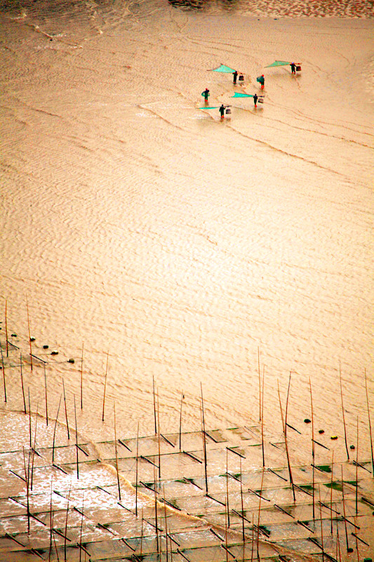 IMG_4853_���� (5).jpg