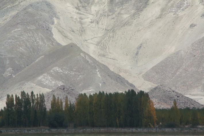 ͽ����Խ���������֮�� (3).JPG