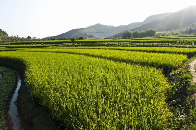 ������С P1010187.jpg