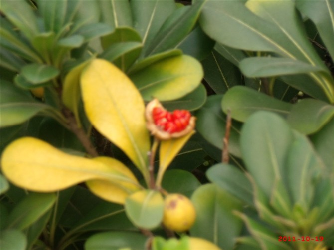 ��ʲô����?