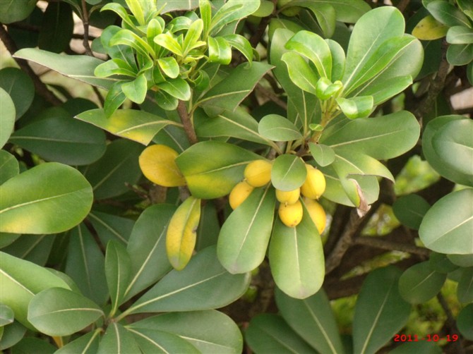 ��ʲô����?