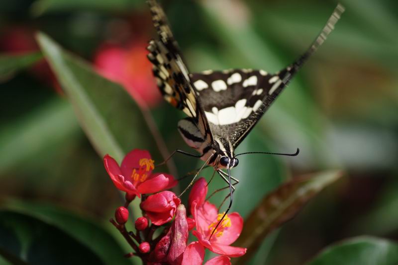 ������С IMG_1145.jpg