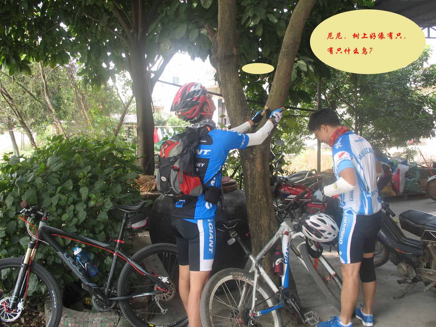 IMG_0113 ����.jpg