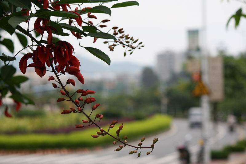 ������С IMG_1749.JPG