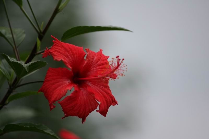 ������С IMG_1753.JPG