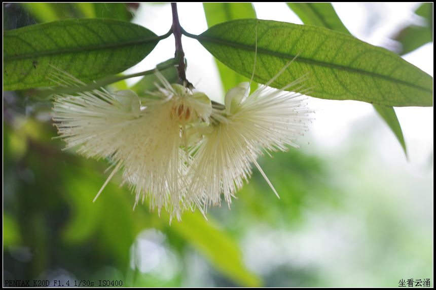 NND������Pû��ʱ���۷��ڷ��裬�Ҿ�������۷���������������õصȴ�����ģ��ֶ����˻���û���ĵ�