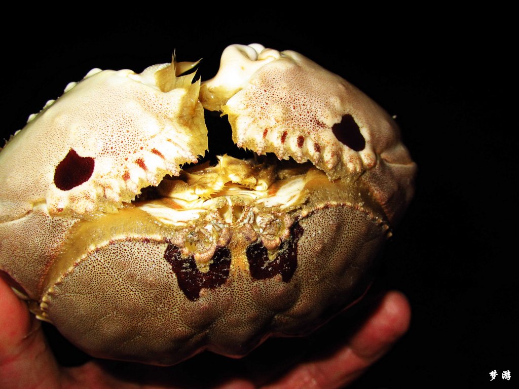 �������ڹ���з