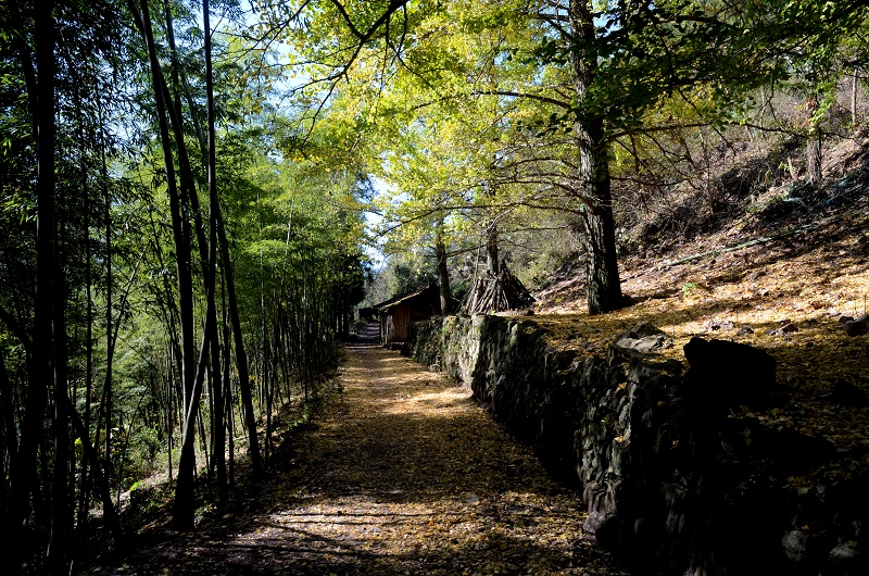 DSC_3499 - ����.JPG