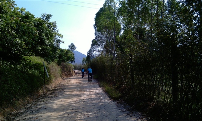 ��԰�л�������