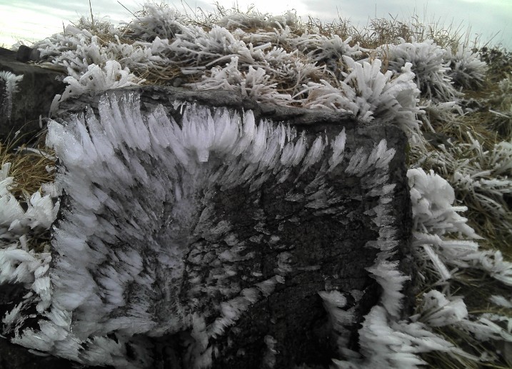 ������ߵı��ұȽ϶�